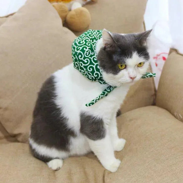 Katze läuft von zu Hause weg (Set)