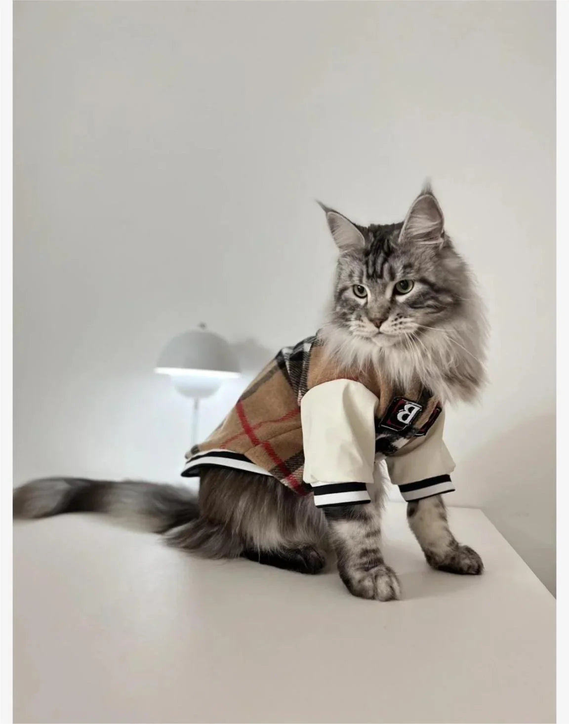 Maillot de Baseball "Feline MVP" pour Chat