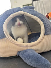 Shark Enclosed Cat Bed