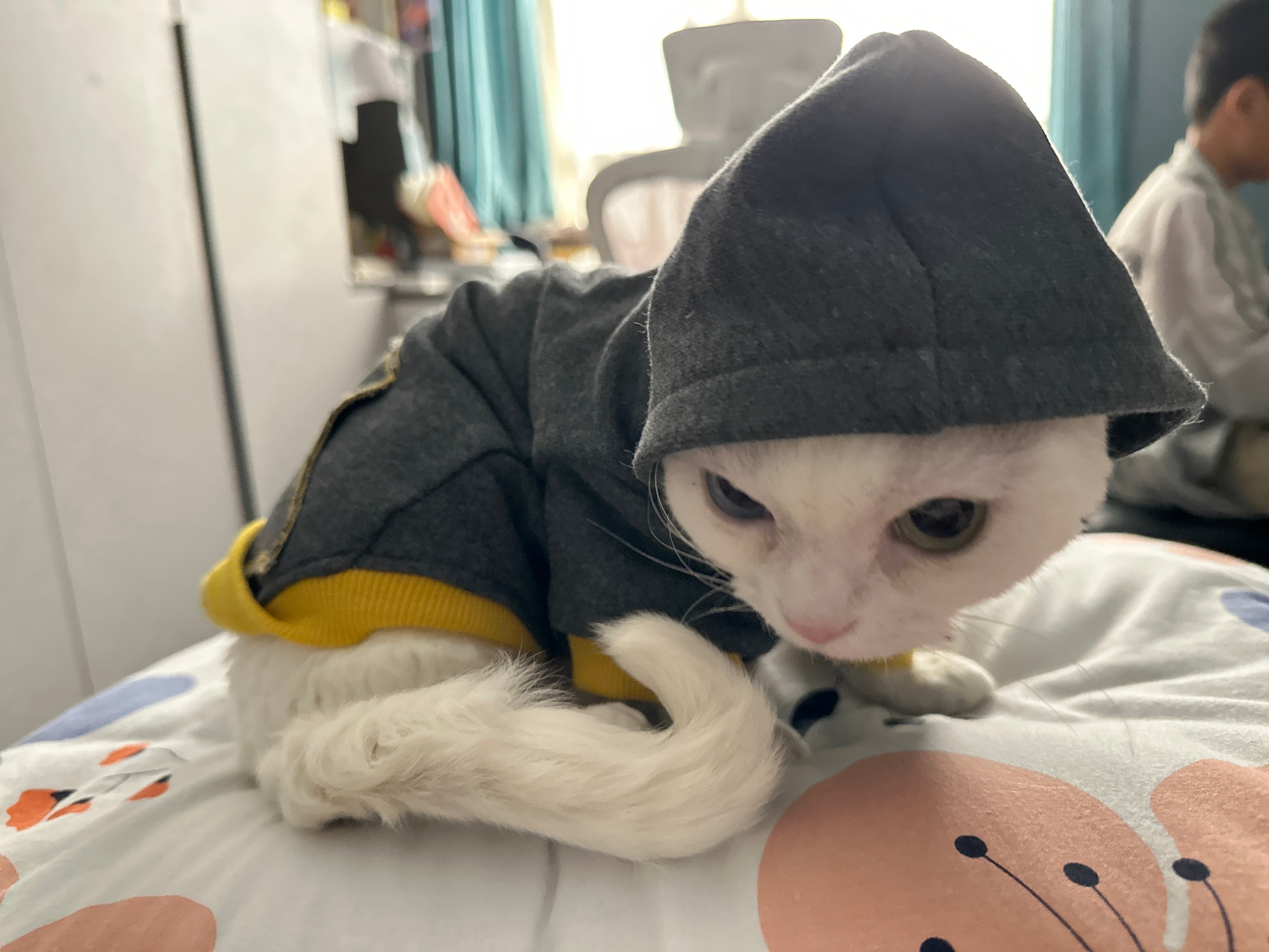 Chic Cat Casual Sweatshirts