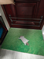 Fauler Katzen-Kunstrasen-Teppich