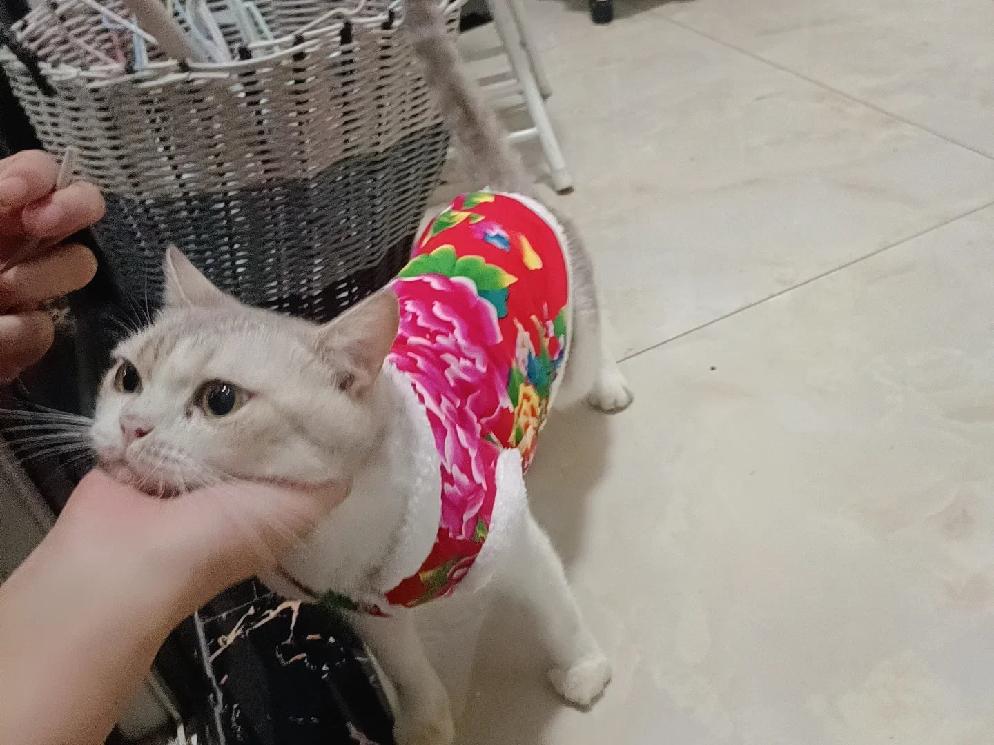 Chaqueta de gato con estampado floral de estilo folklórico chino