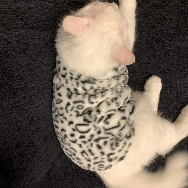 Leopard Print Fleece Cat `