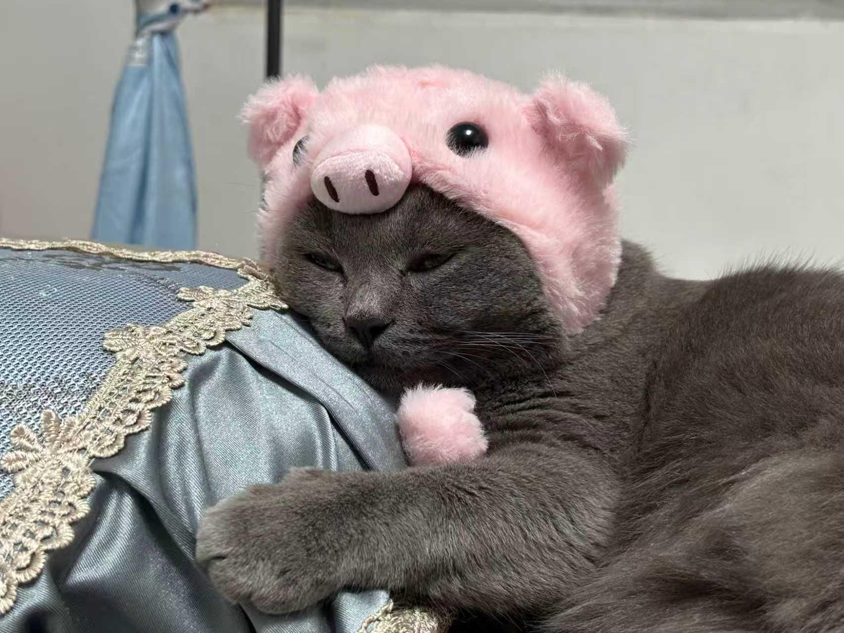 Piggy Pink Cat Hat