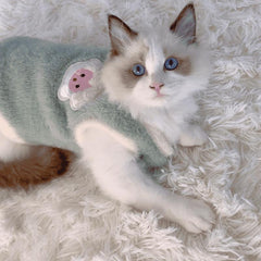 Pull Chat Lapin Mignon en Peluche