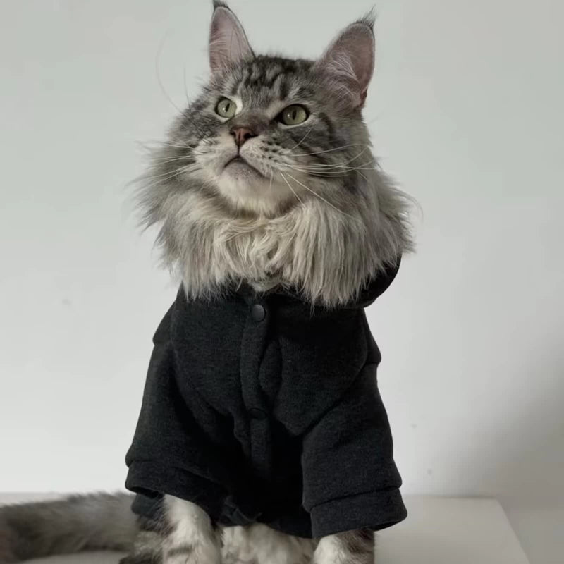 Sleek Black Cat Hoodie