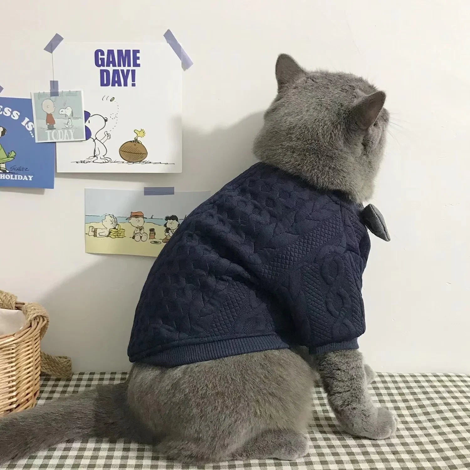 Gentleman Paws gestrickte Katzenkleidung