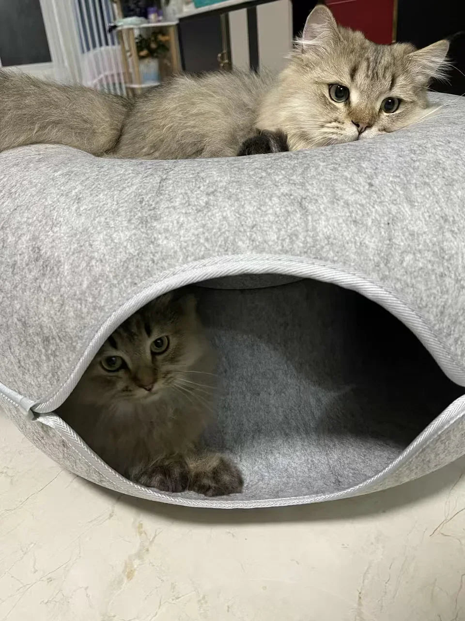 Cama túnel de fieltro para gatos CircleFun (estilo neumático cerrado y seguro)