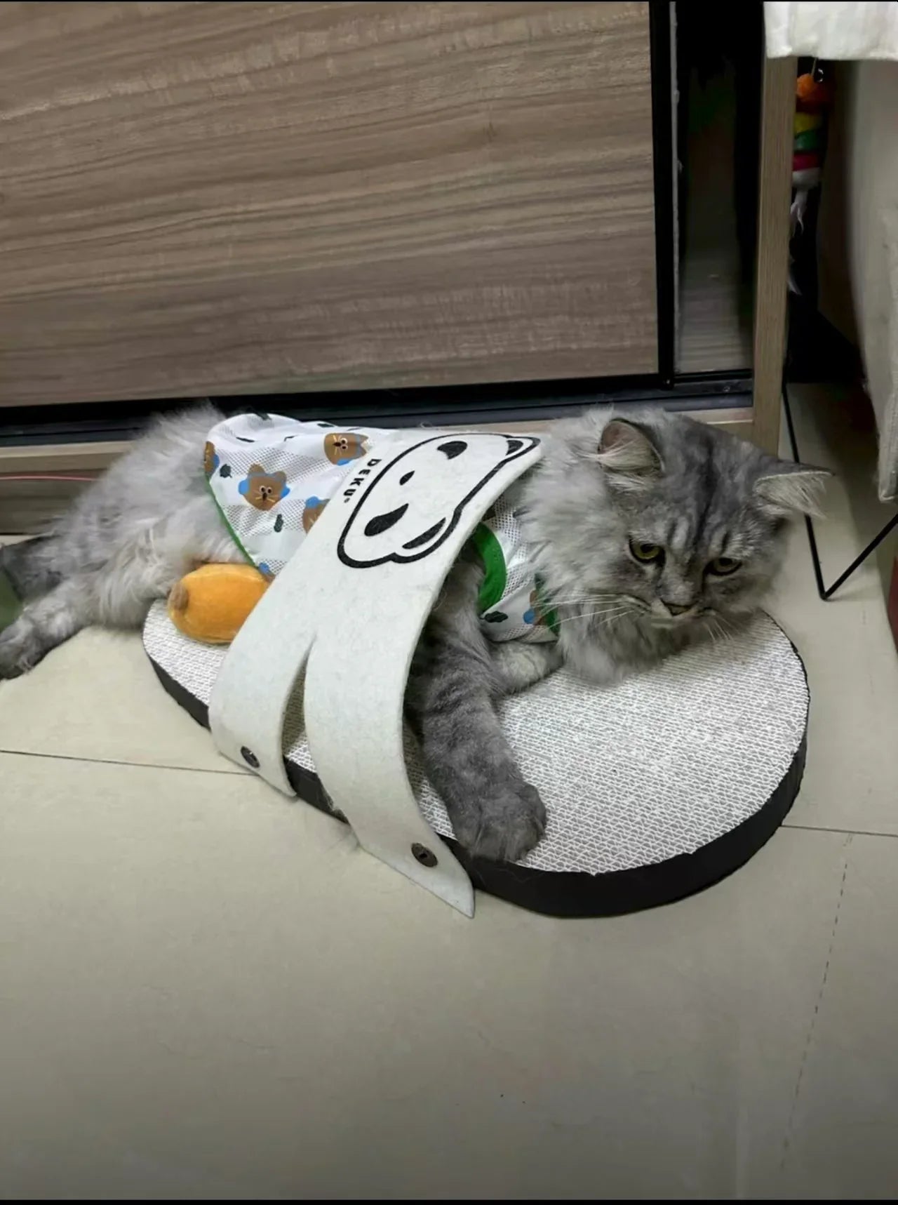 Rascador gigante para gatos con forma de zapatilla