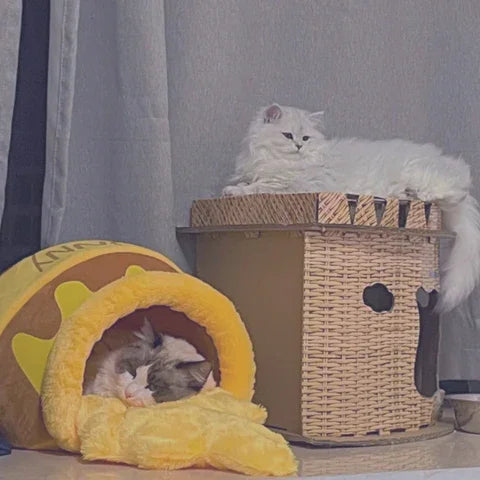 Katzenbett „Honey Pot Sweet Slumber“