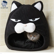 Griesgrämige schwarze Katze Katzenhöhle