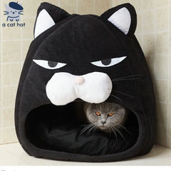 Grumpy Black Cat Cat Cave