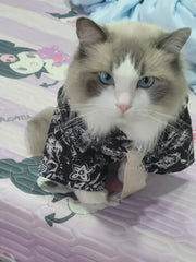 Traje de gato para novio bajista