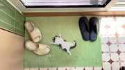 Fauler Katzen-Kunstrasen-Teppich