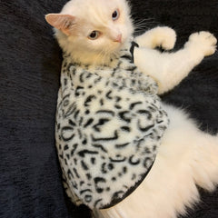 Leopard Print Fleece Cat `