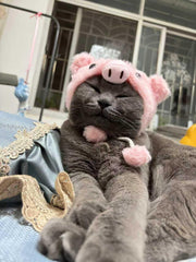 Piggy Pink Cat Hat