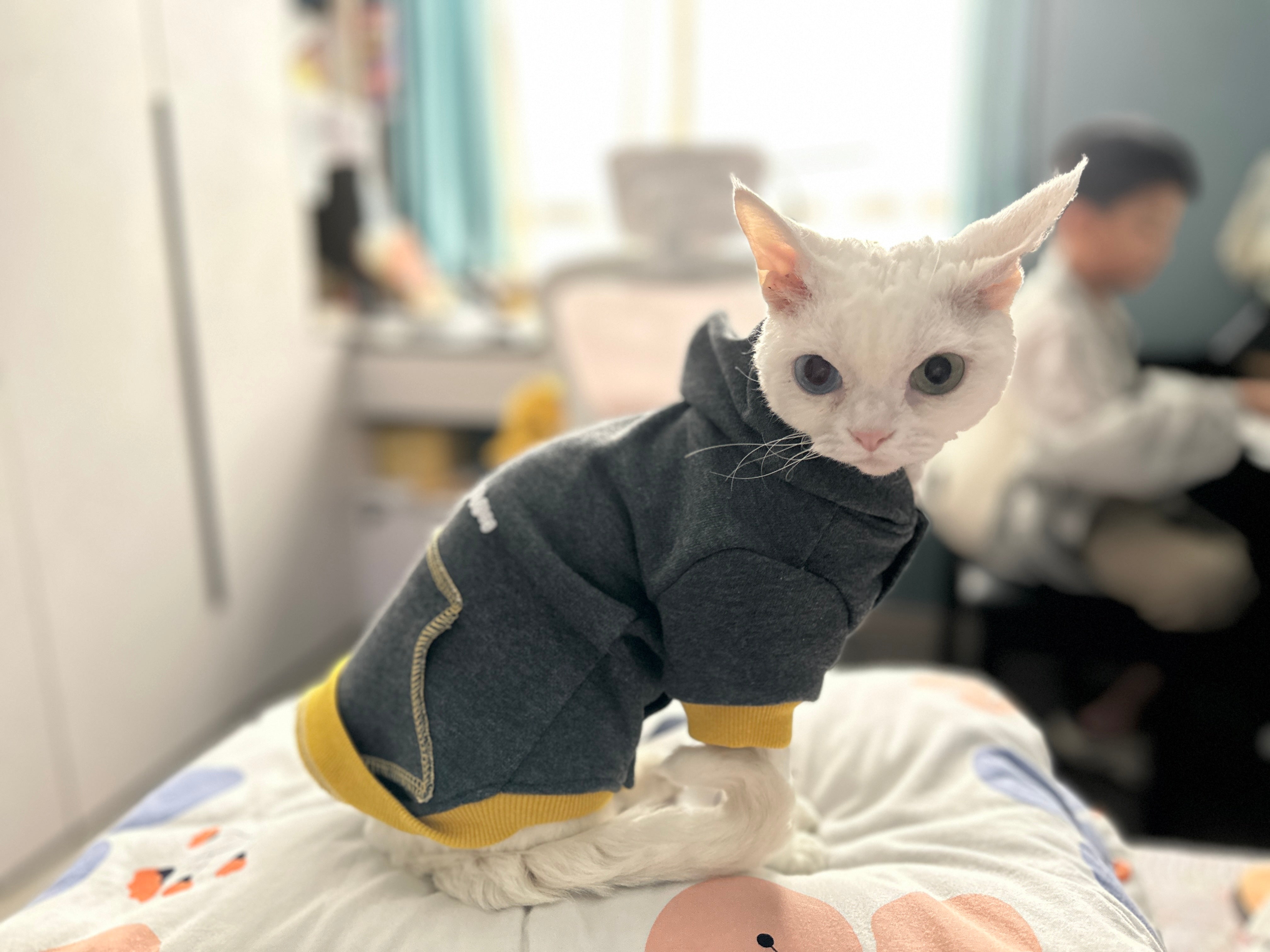 Chic Cat Casual Sweatshirts