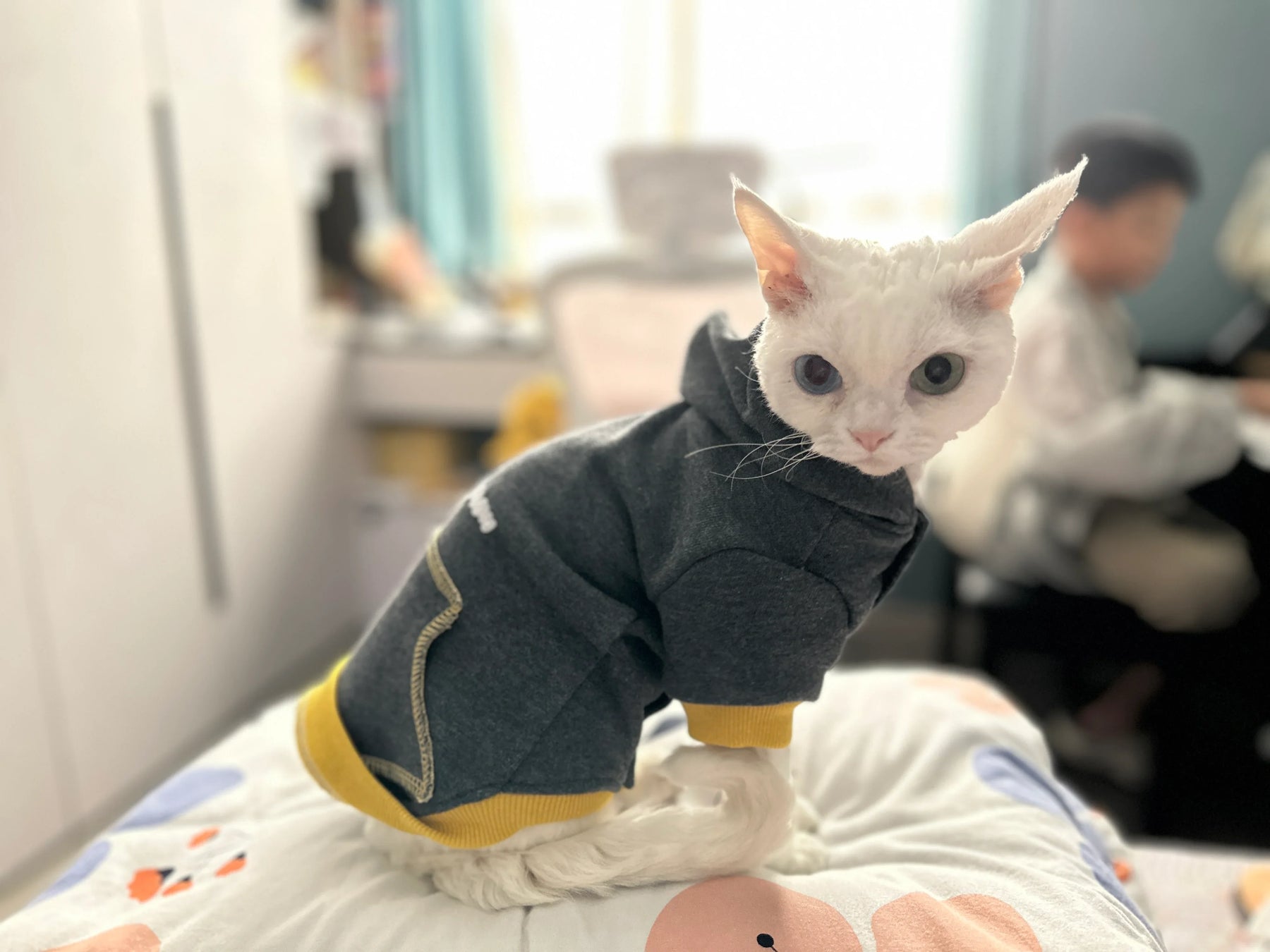 Chic Cat Freizeit-Sweatshirts