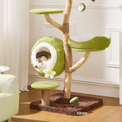 Natural Wood Multi-Level Cat Tree