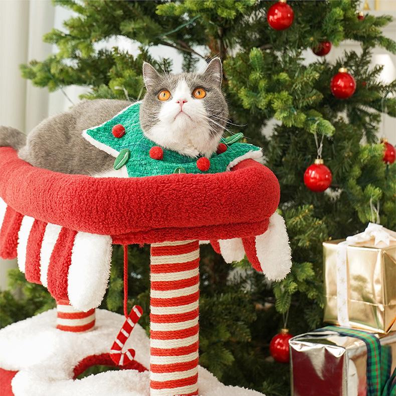 Weihnachtsfee-Zug Katzenbaum