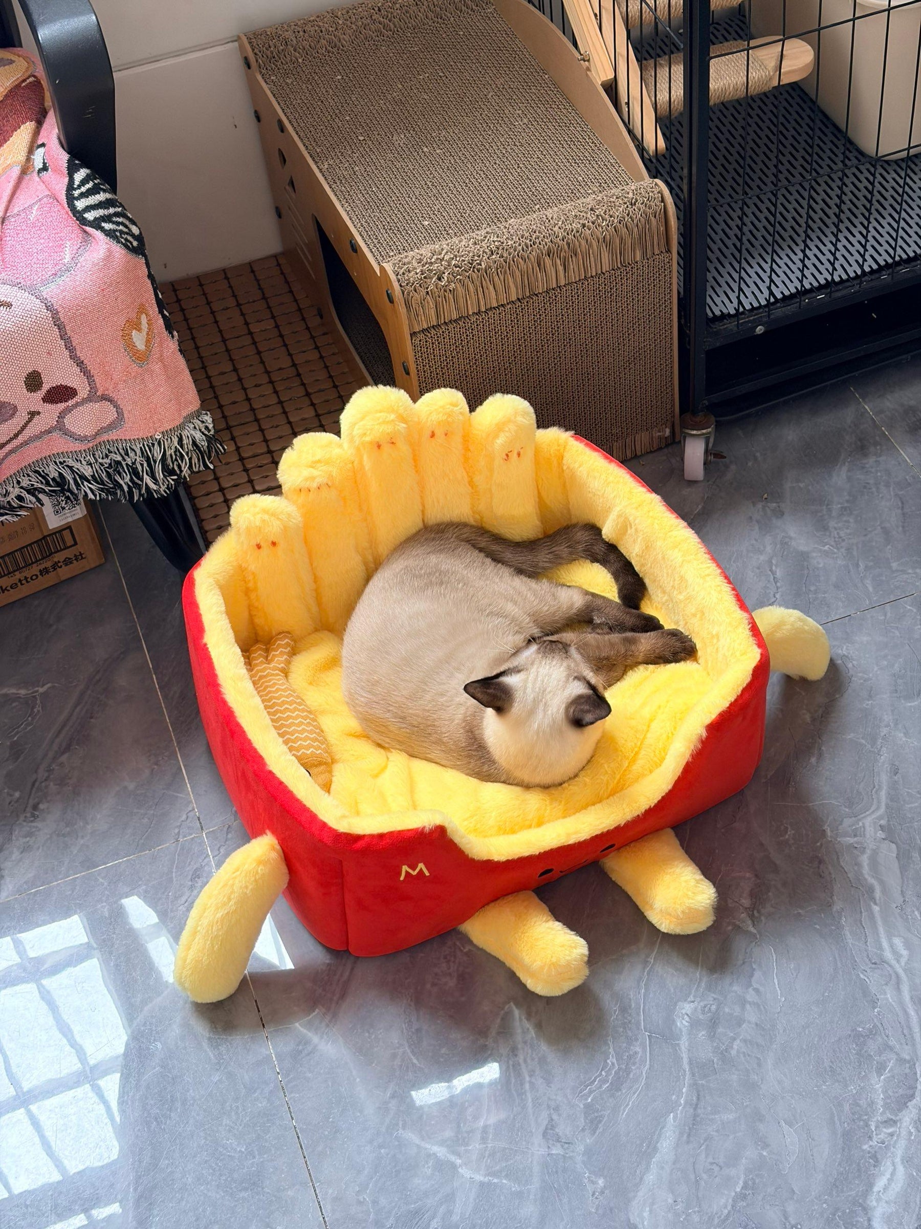Katzenbett aus einer Pommes-Frites-Box 