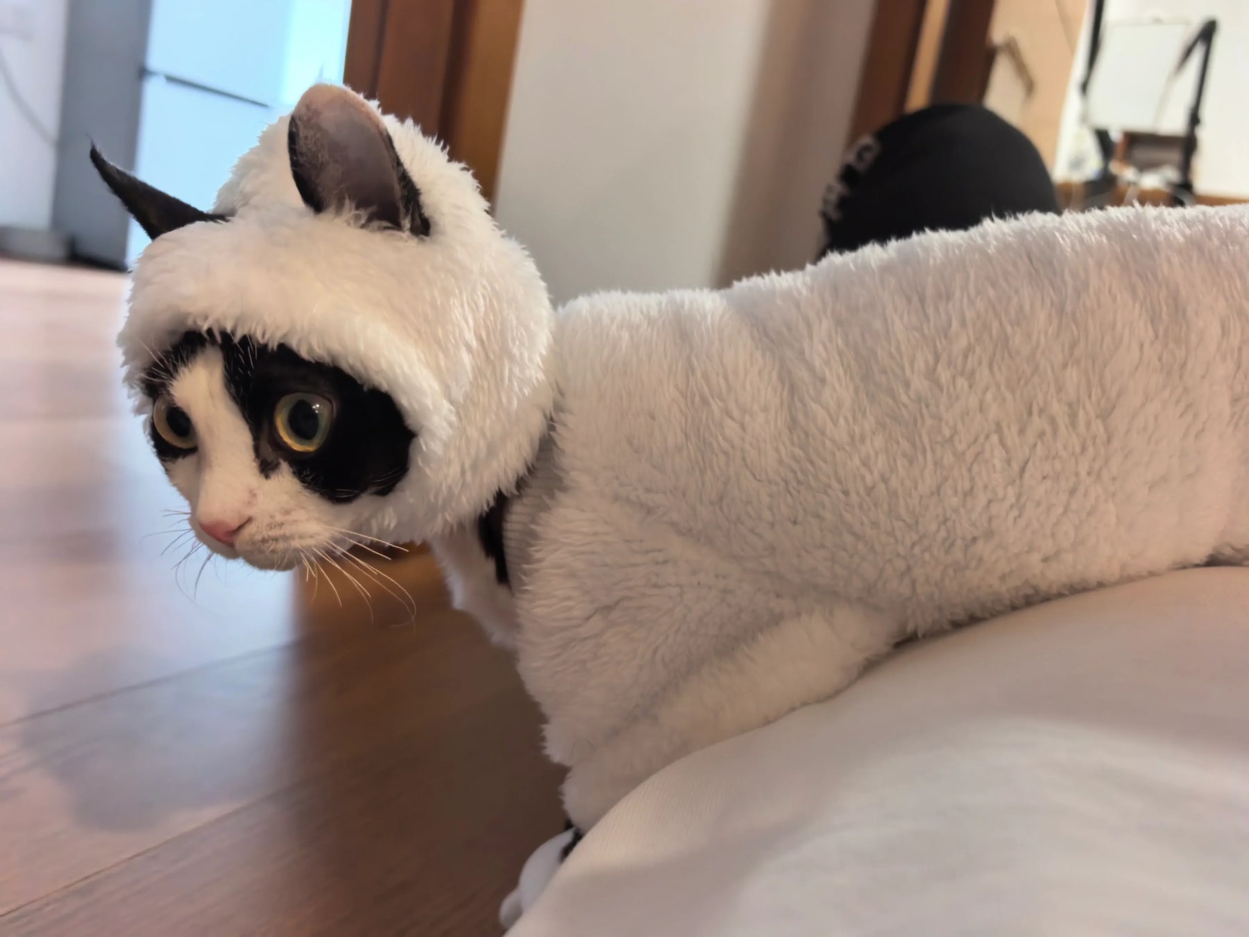Sheep Funny Costume