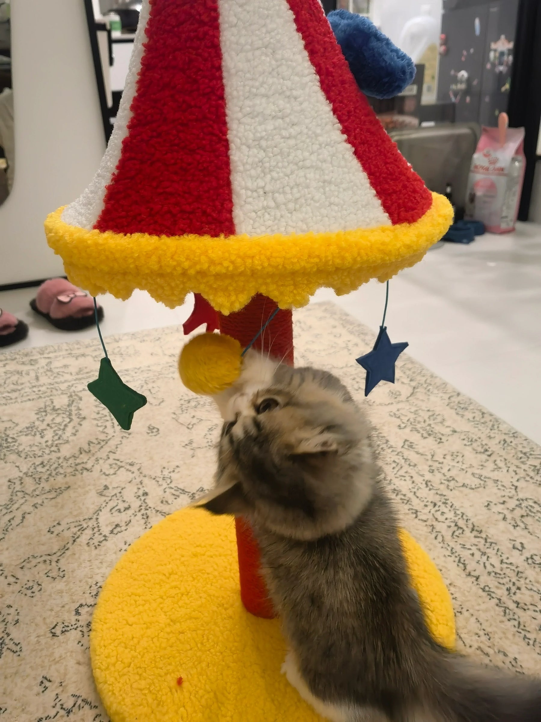 Circus Fun Katzenwohnserie (einschließlich Kratzbäume und Katzenbett) 