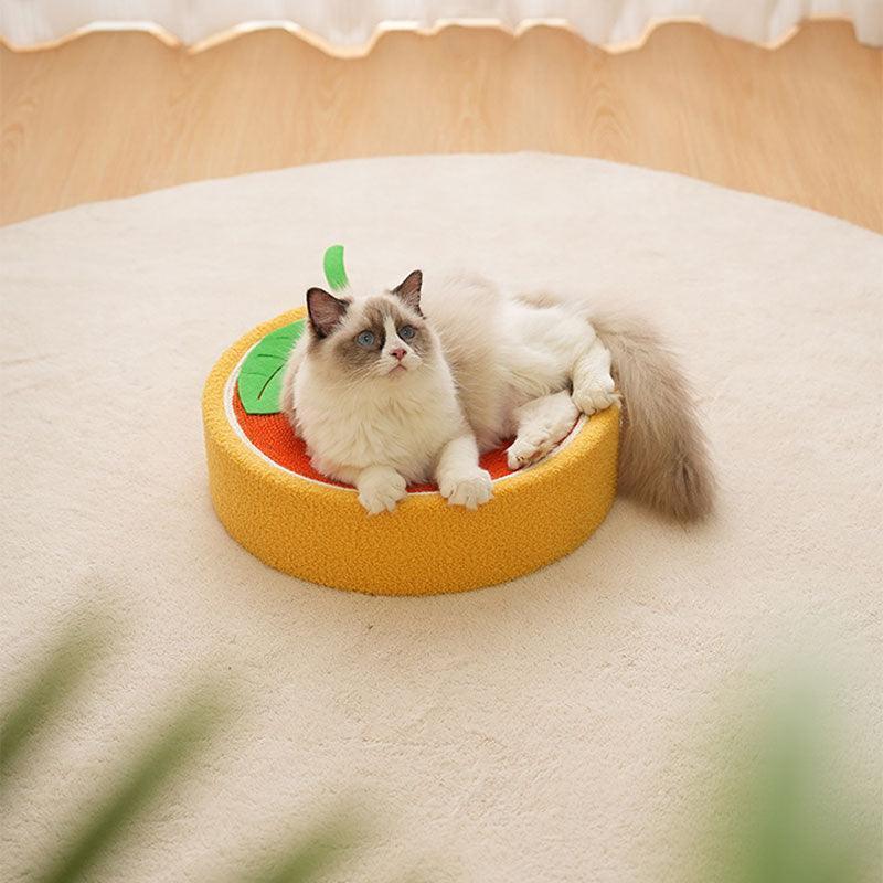 Niedlicher Katzenkratzbaum mit Schweinchenmotiv 