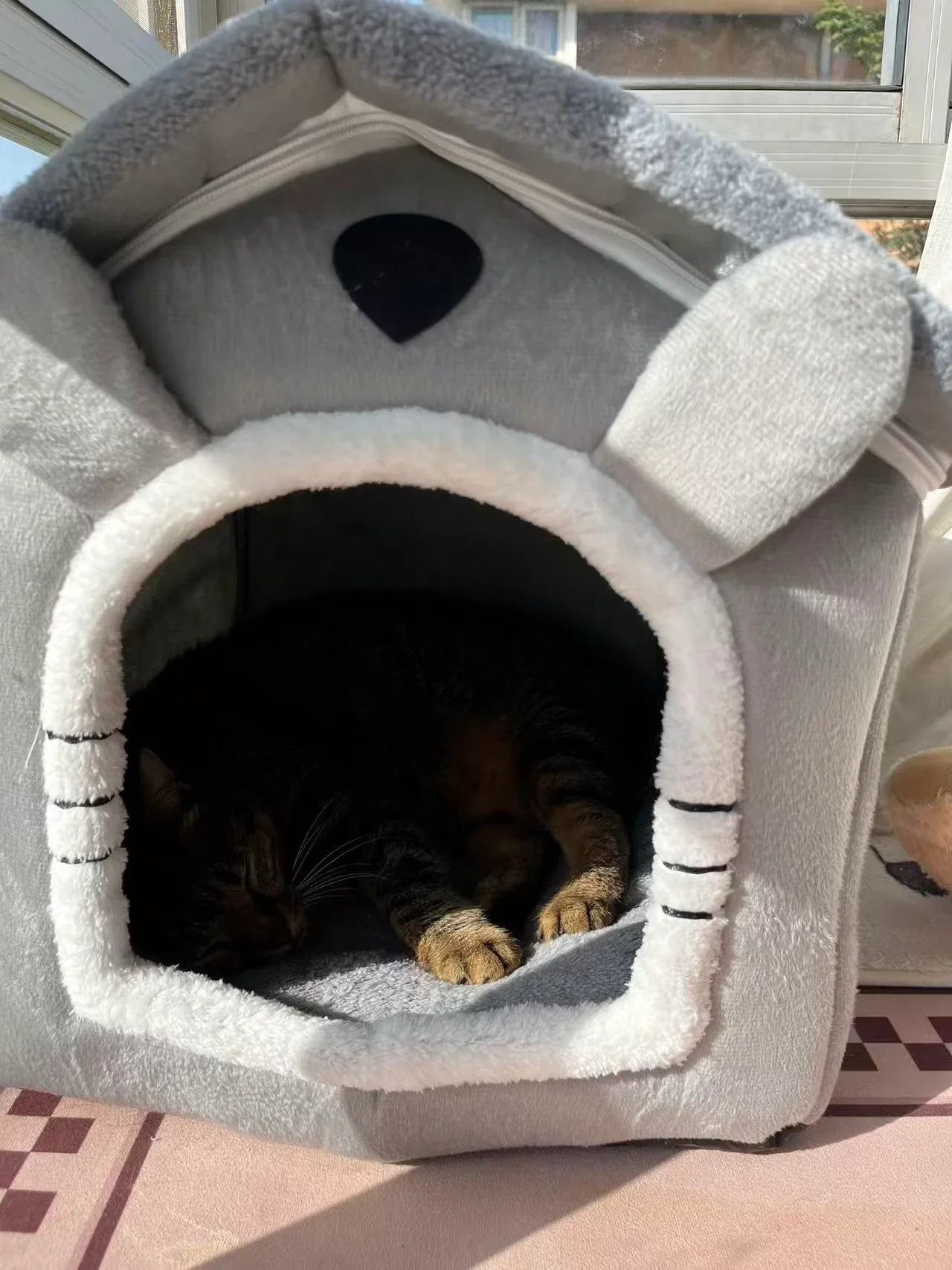 Graues Kaninchen-Gehege Katzenvilla 