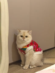 Chaqueta de gato con estampado floral de estilo folklórico chino
