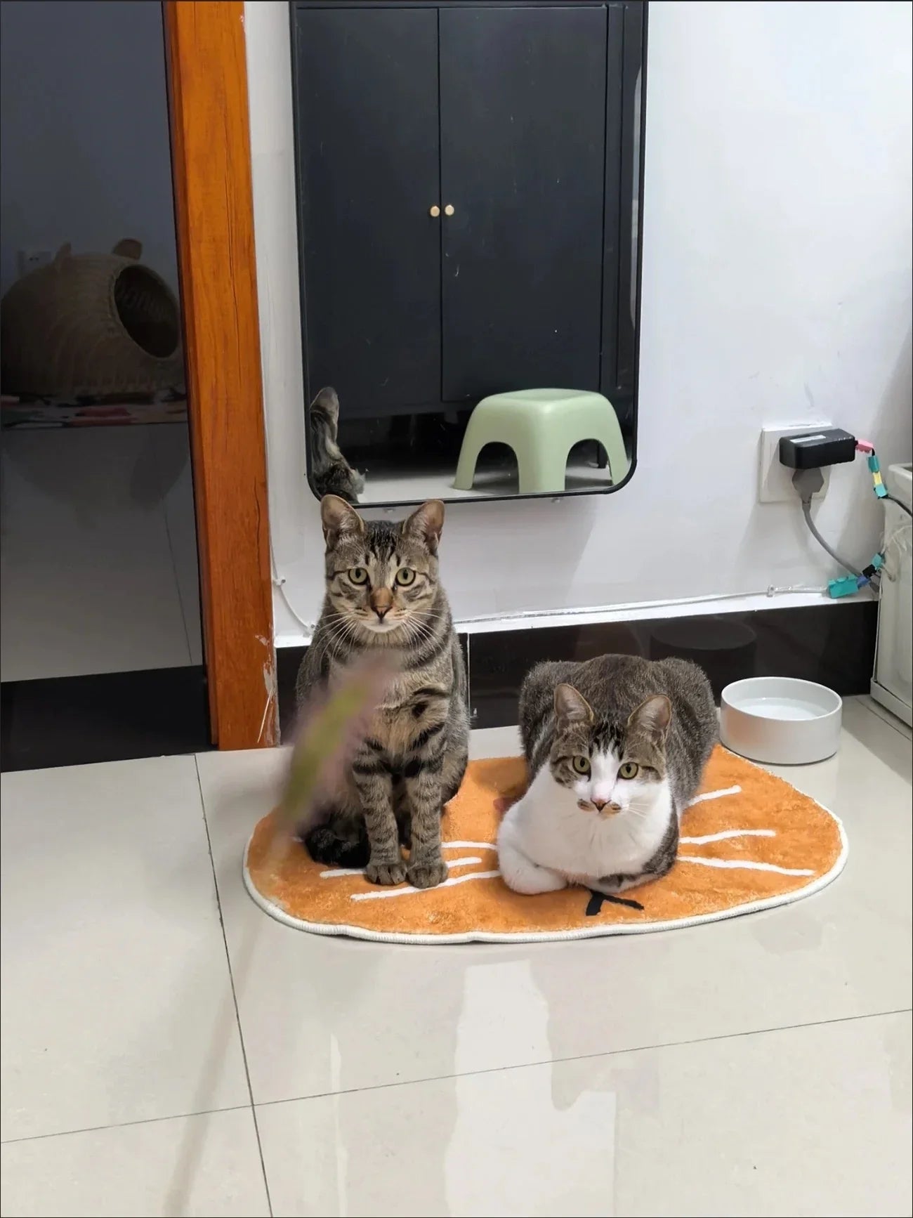 Badezimmer-Saugmatte mit Katzenmotiv 