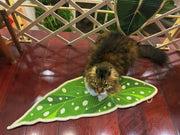 Rascador para gatos Green Plant Series