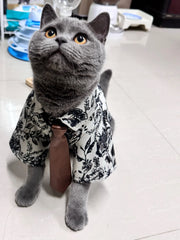 Traje de gato para novio bajista