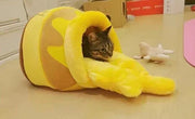 Katzenbett „Honey Pot Sweet Slumber“