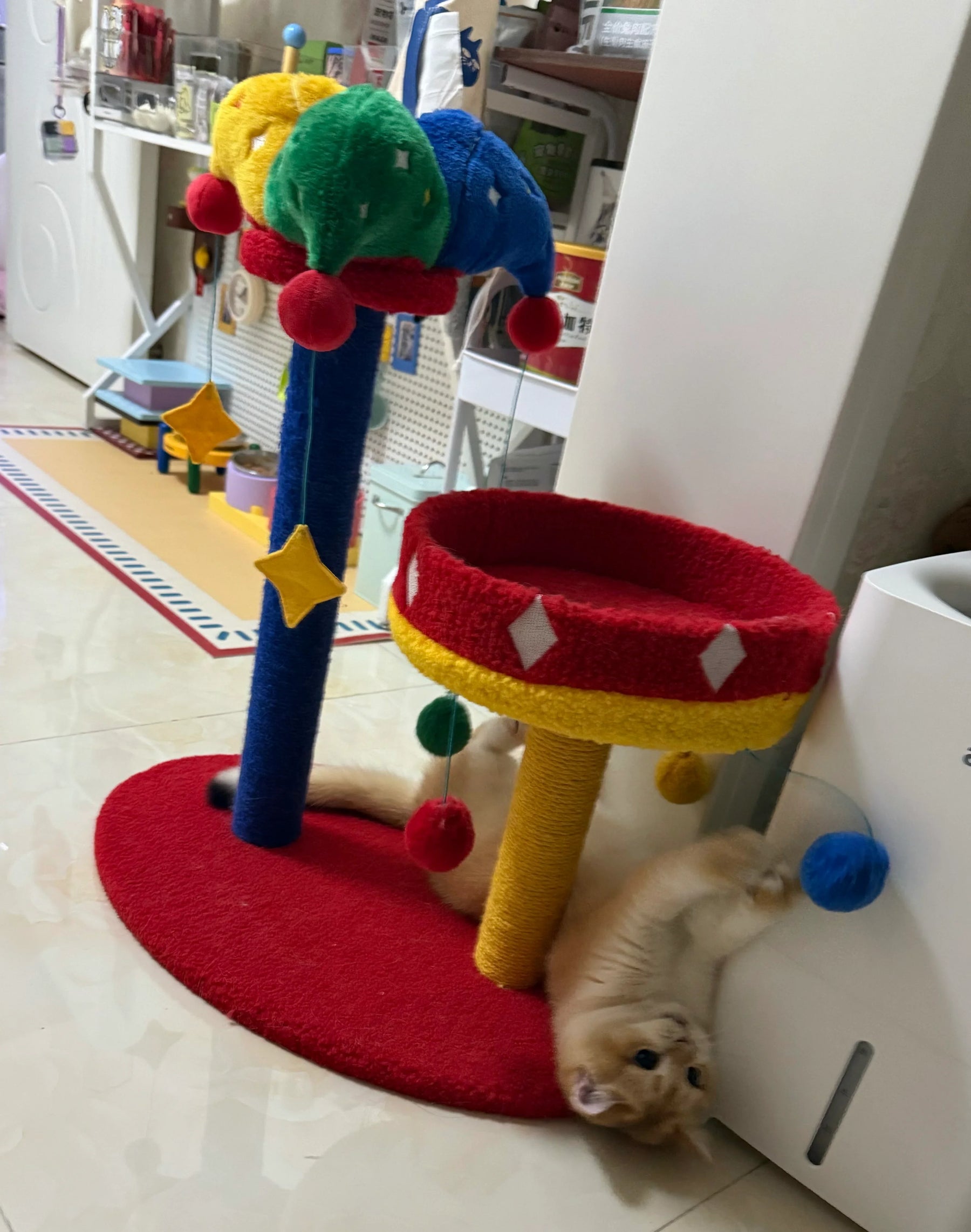 Circus Fun Katzenwohnserie (einschließlich Kratzbäume und Katzenbett) 