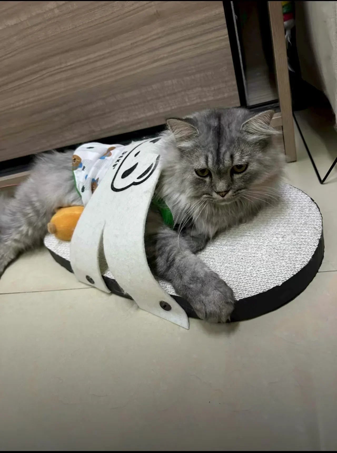 Rascador gigante para gatos con forma de zapatilla
