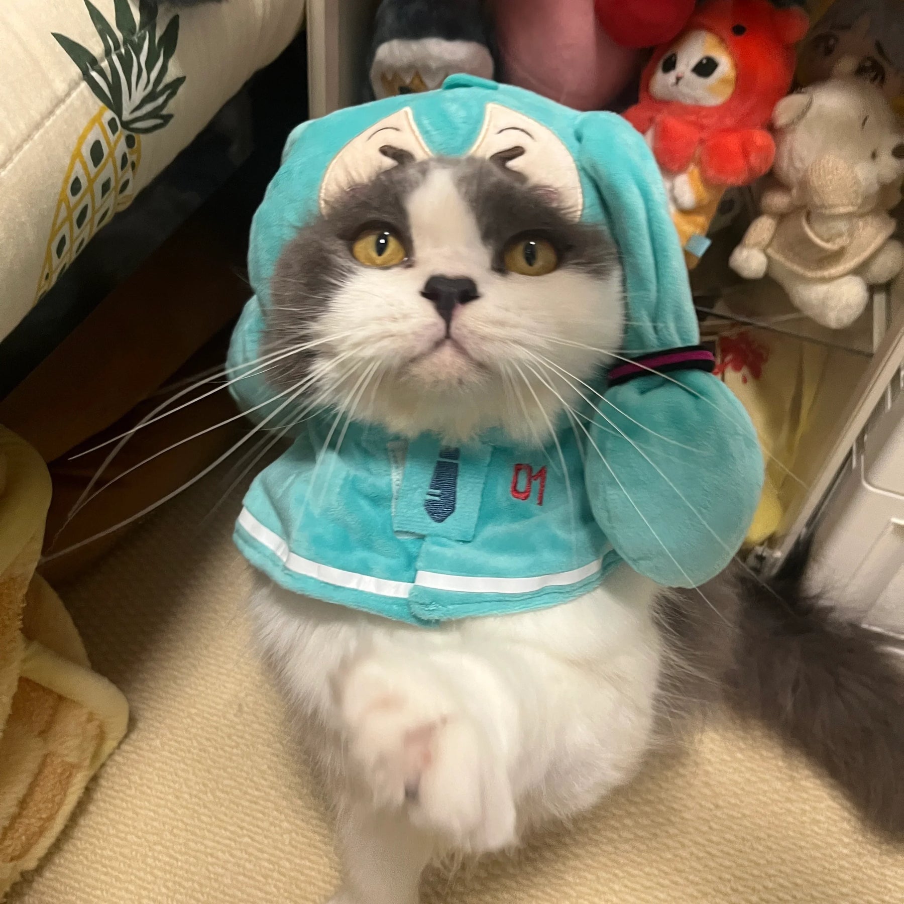 Chal de Hatsune Miku