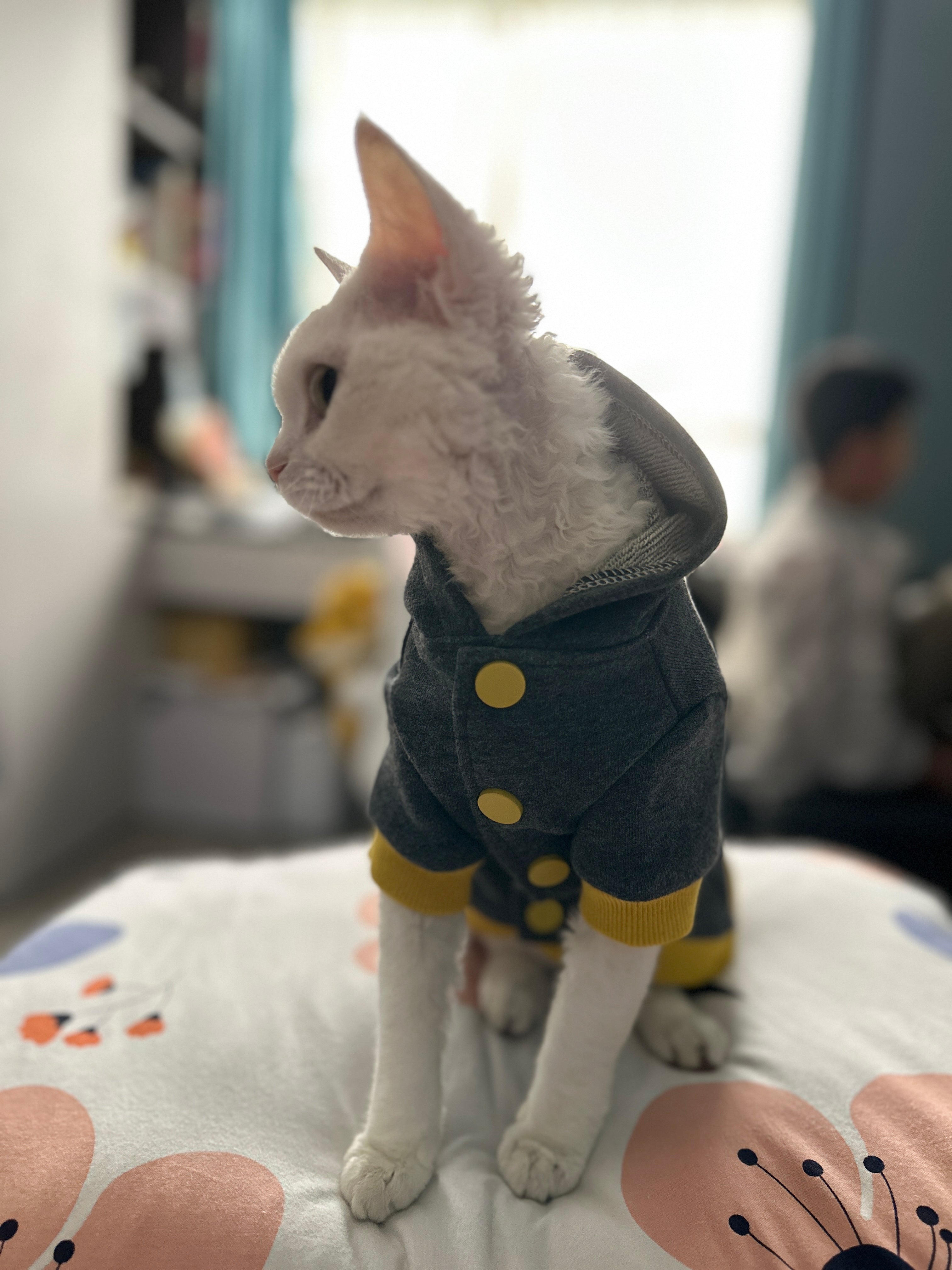 Chic Cat Casual Sweatshirts