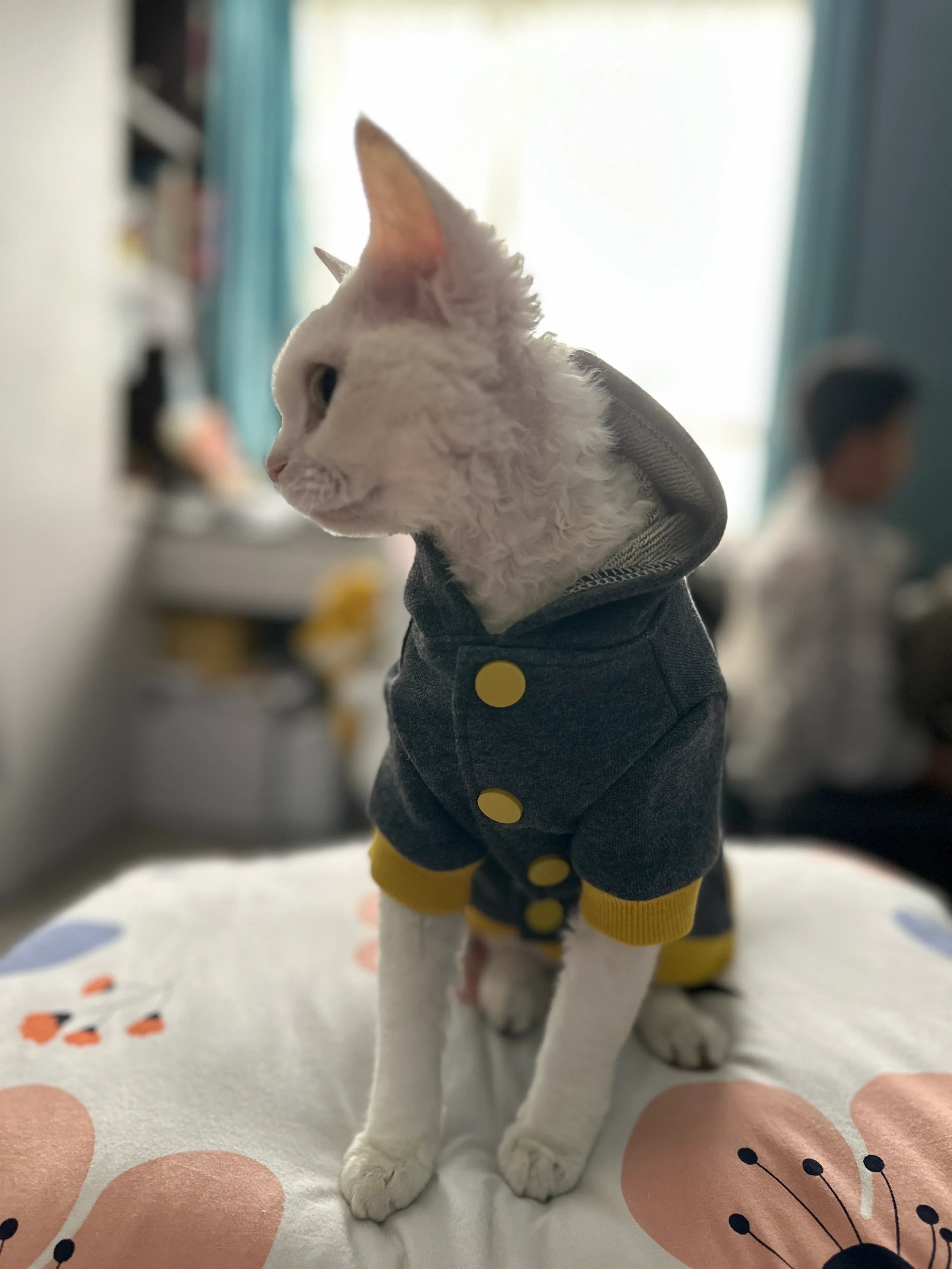 Sweat-shirts Décontractés Élégants pour Chat