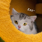 Circus Fun Katzenwohnserie (einschließlich Kratzbäume und Katzenbett) 