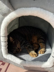 Grey Rabbit Enclosed Cat Villa