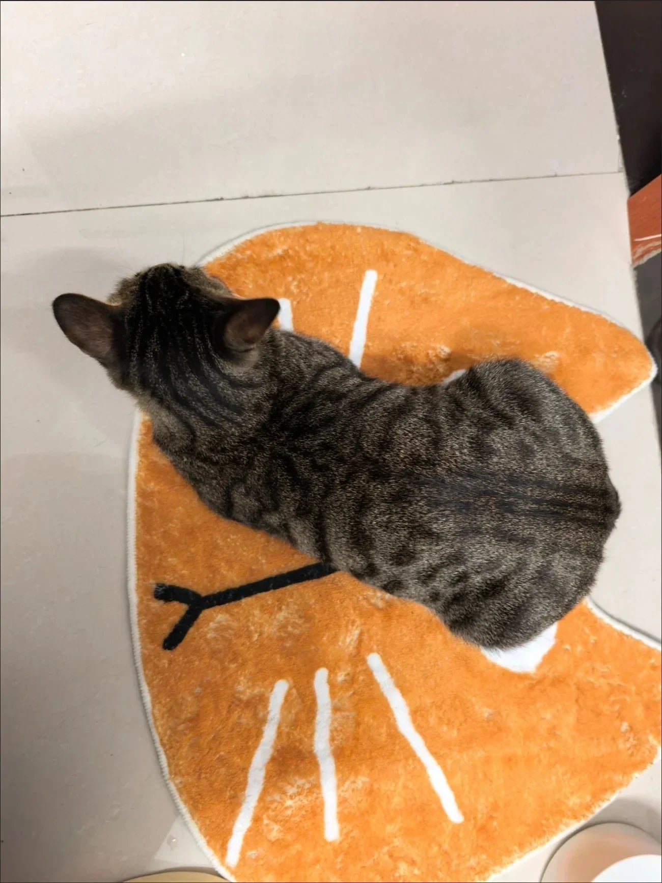 Badezimmer-Saugmatte mit Katzenmotiv 