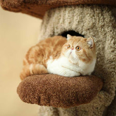 Wild Stump Villa Cat Tree