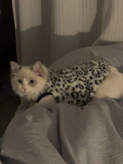 Leopard Print Fleece Cat `