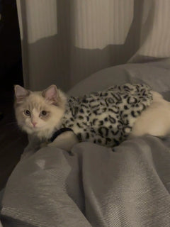 Fleece Chat Imprimé Léopard