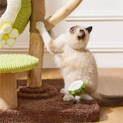 Natural Wood Multi-Level Cat Tree