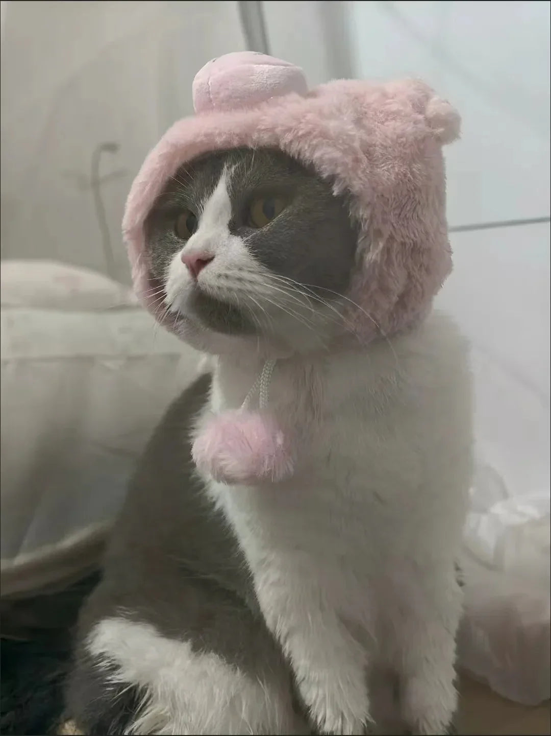 Piggy Pink Cat Hat