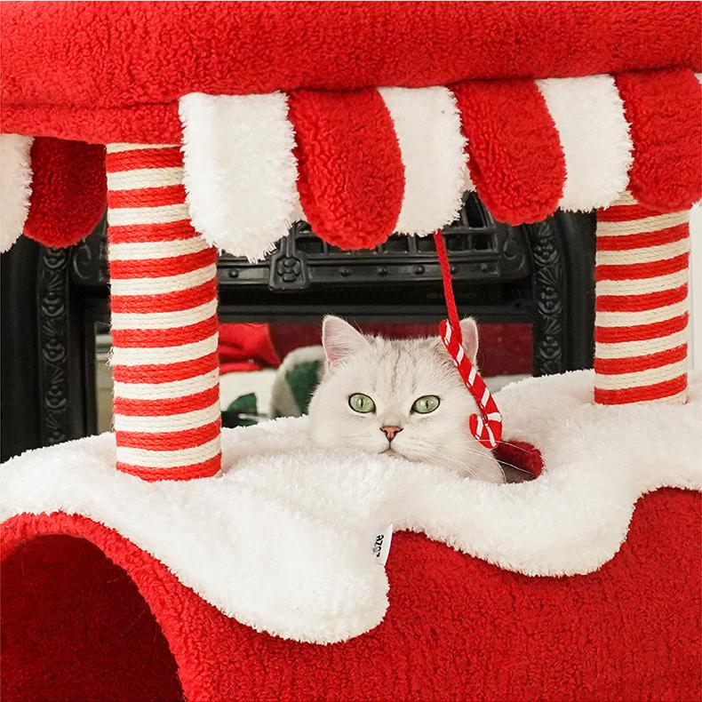 Weihnachtsfee-Zug Katzenbaum