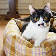 Retro Plaid Cat Habitat Set
