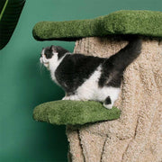 Wild Stump Villa Cat Tree